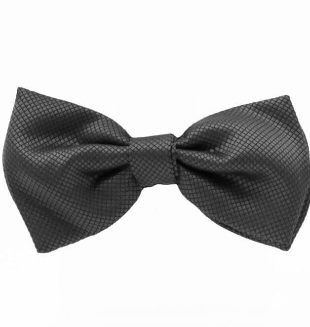 Fellini Jacquard Charcoal Bowtie