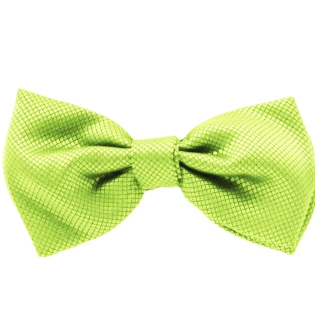 Fellini Jacquard Lime Bowtie