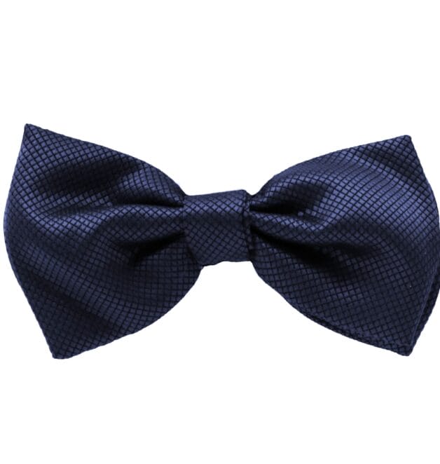 Fellini Jacquard Navy Bowtie