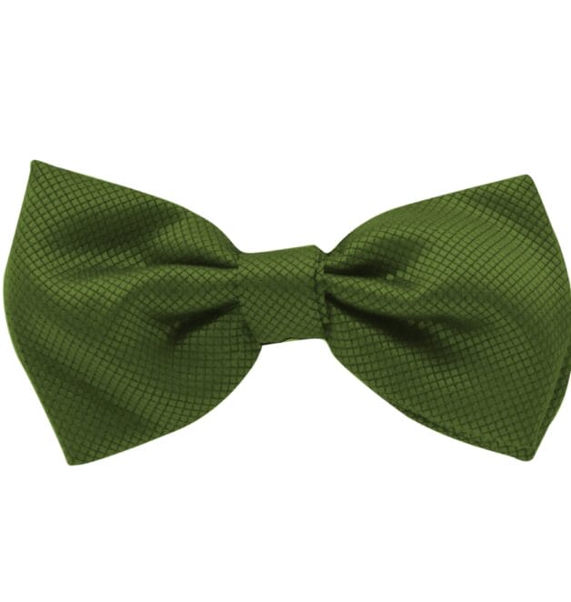 Fellini Jacquard Olive Bowtie