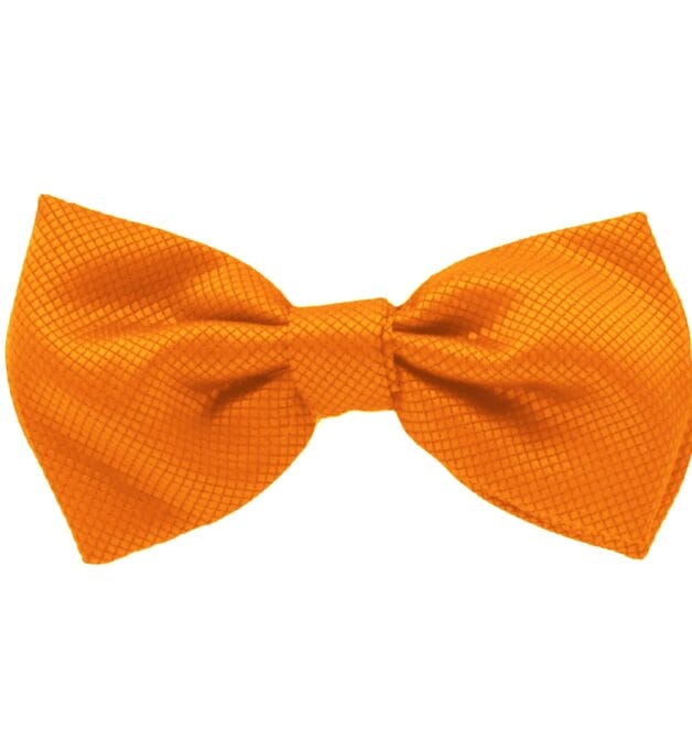 Fellini Jacquard Orange Bowtie