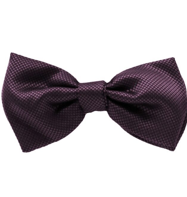Fellini Jacquard Purple Bowtie
