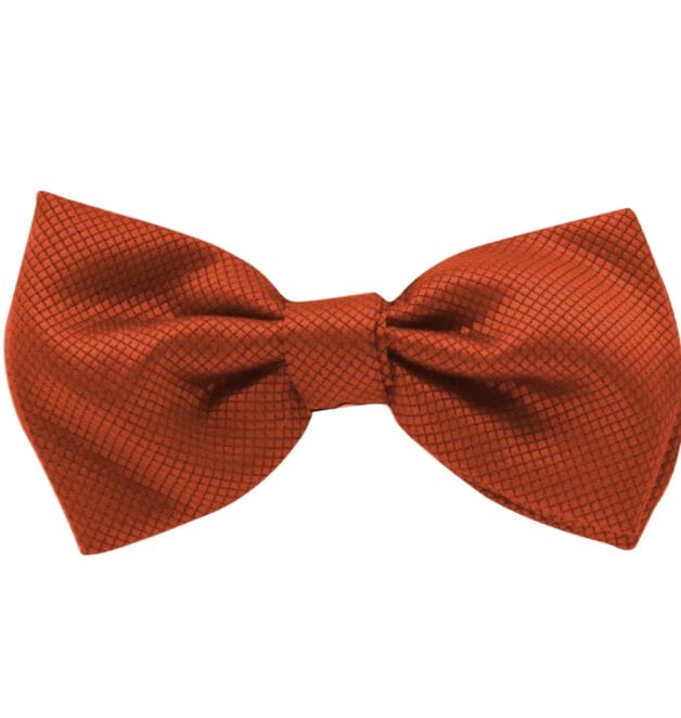 Fellini Jacquard Rust Bowtie