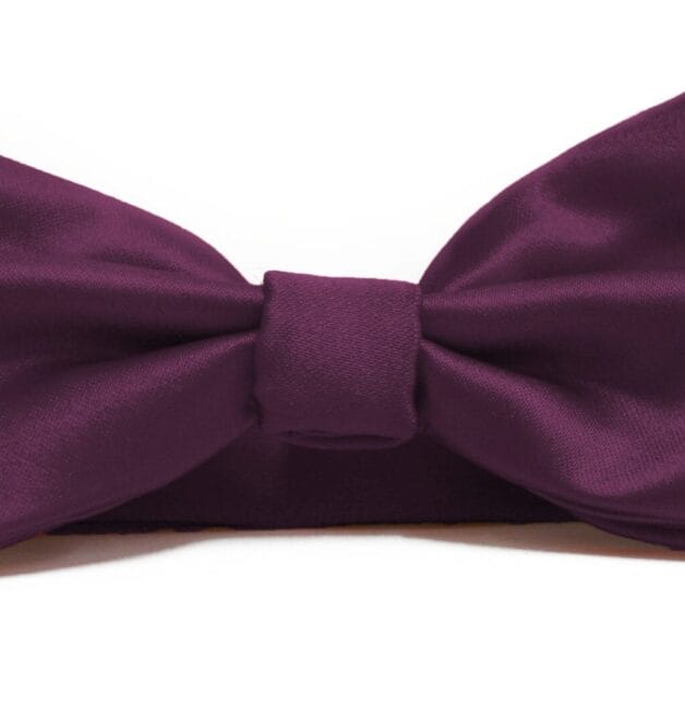 Fellini Plain Purple Bowtie
