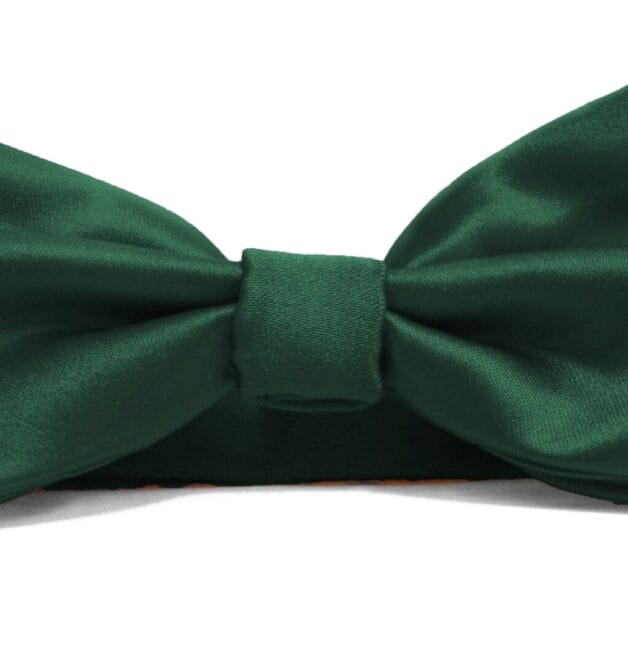 Fellini Plain Bottle Bowtie