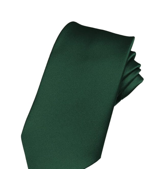 Fellini Plain Bottle Tie